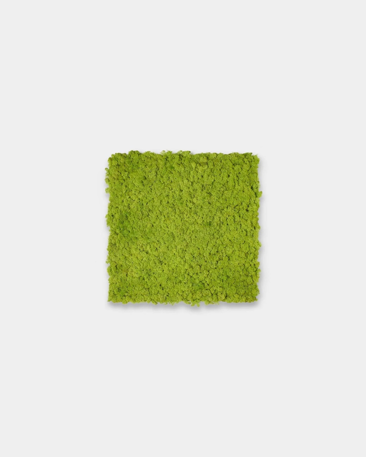 WoodUpp Akupixel | Moss Acoustic Panel