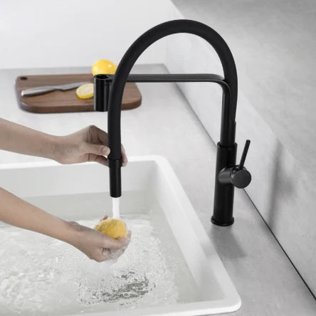 Matt Black Pull Out Kitchen Mixer #201799
