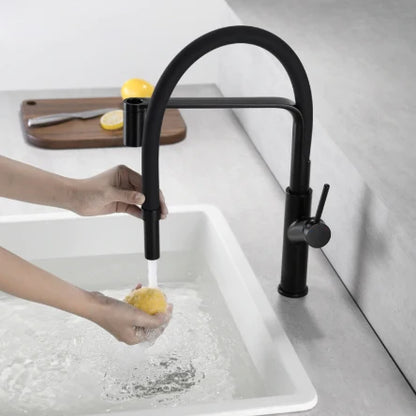 Matt Black Pull Out Kitchen Mixer #201799