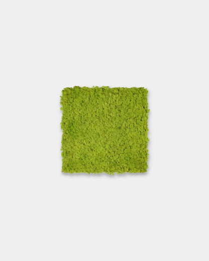 WoodUpp Akupixel | Moss Acoustic Panel