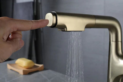 Brushed Gold Pull Out Kitchen Mixer #20227