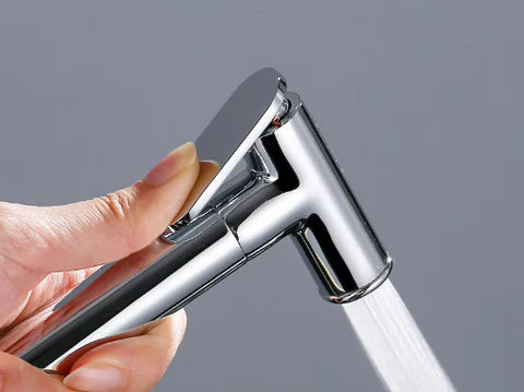 Chrome Bidet #202520