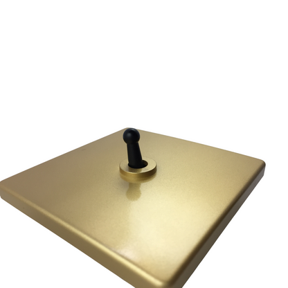 Gold with Black Toggle Light Switch - 1 lever