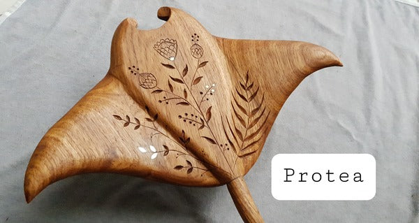 Manta Ray Wall Hook