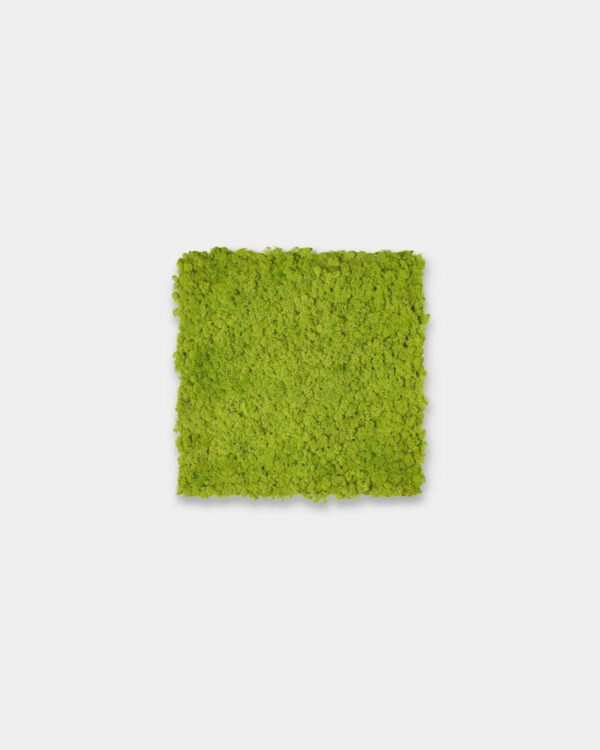 WoodUpp Akupixel | Moss Acoustic Panel - Image 10
