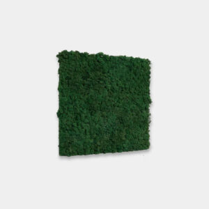 WoodUpp Akupixel | Moss Acoustic Panel