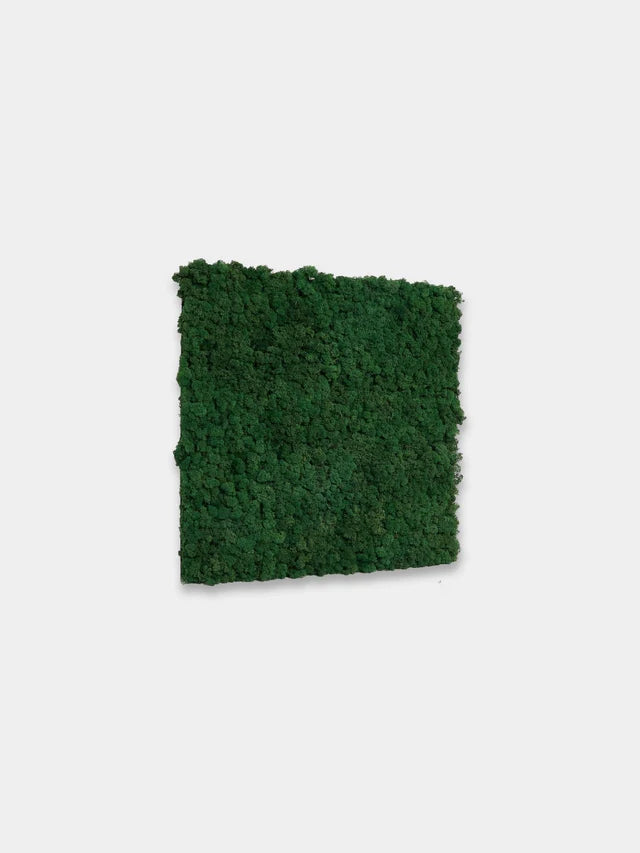 WoodUpp Akupixel | Moss Acoustic Panel