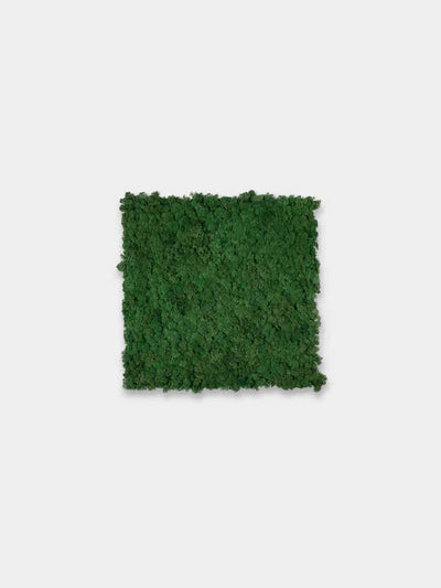 WoodUpp Akupixel | Moss Acoustic Panel - Image 5