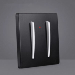 Sela Black with White lever - 2 lever
