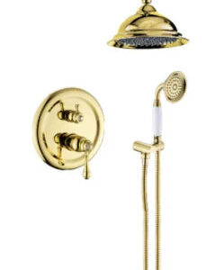 Gold Shower with Hand Shower #20114