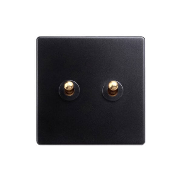 Classic - Black with Brass Toggle, 2 Levers
